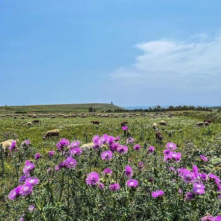 Casetta Degli Ulivi Uggiano La Chiesa Exteriör bild
