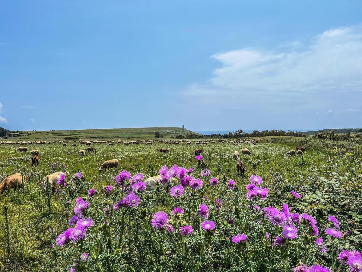 Casetta Degli Ulivi Uggiano La Chiesa Exteriör bild
